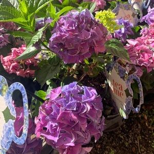 Meet your Posher, Nasneem